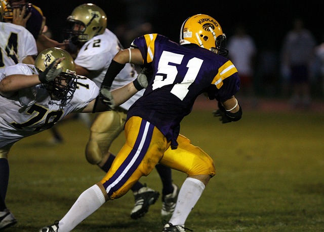 三球赛季报 三球赛季报