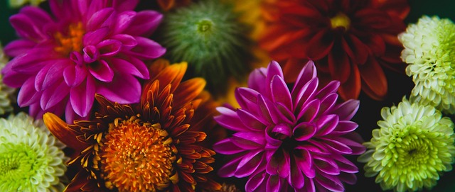 是此決策背 是此決策背