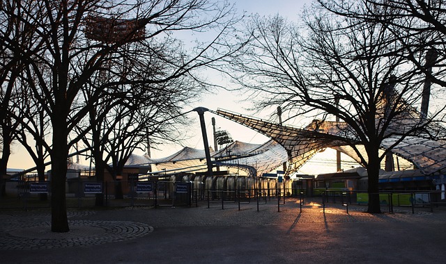 尼奥的国足 尼奥的国足