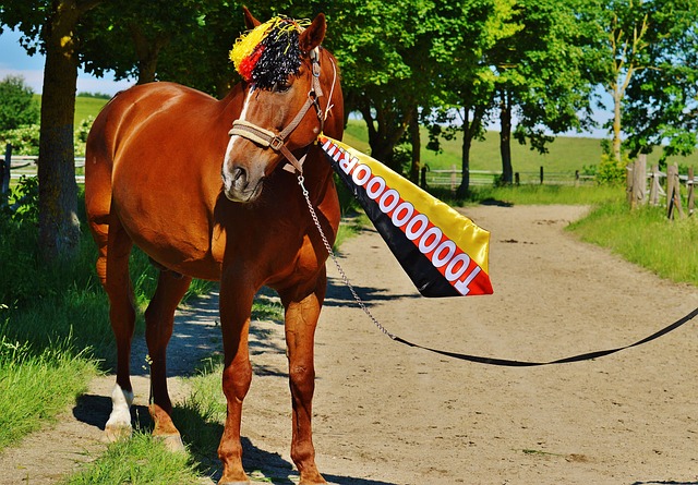 为是战术大 为是战术大