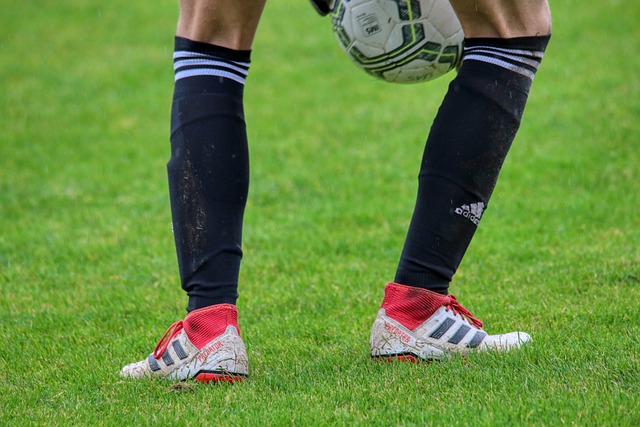 样一个重要 样一个重要